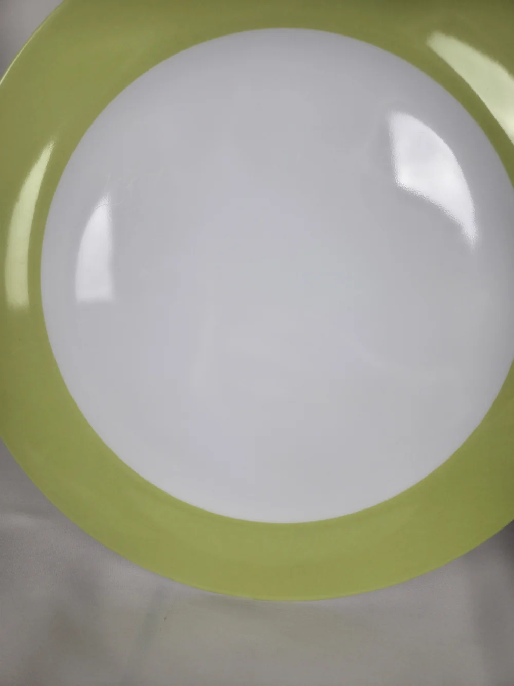 Plastic Picnic Plates 11